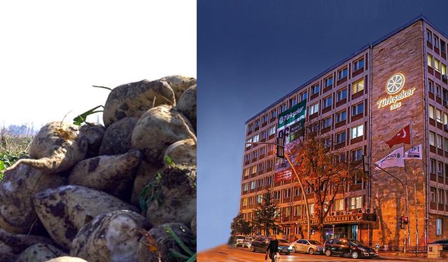 Türkşeker gerçekleri böyle manipüle etti: Çeltik’e 235 bin tonluk pancar aktarımının perde arkası