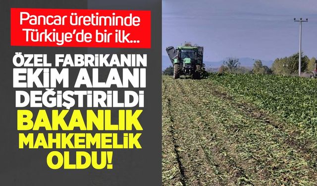 Pancar üretiminde Türkiye’de bir ilk: Özel fabrikanın ekim alanı değiştirildi, Bakanlık mahkemelik oldu
