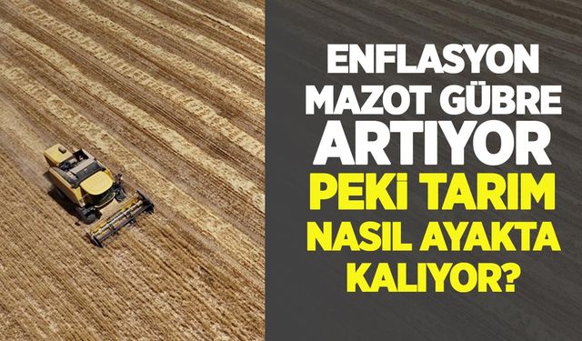 Enflasyon, mazot, gübre nereye gidiyor? Dünya tereddüt ederken, tarım dengede nasıl kalıyor?