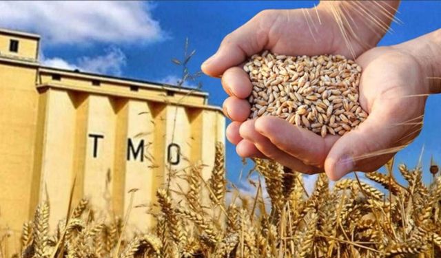 TMO’dan ithal buğday satışı: Alan fabrikalara yerli buğday şartı