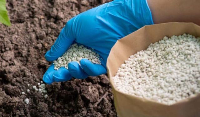 Gübrede şok gelişme! Bakanlık yanlışlıkla kapattı, ihracatçının girişimiyle sorun çözüldü!