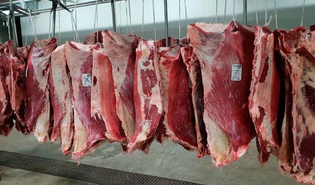 Besicinin "kırmızı hat" mücadelesi: Karkas fiyatında 700 TL resti!