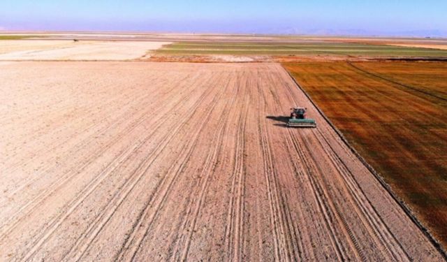 Buğday, arpa ve mısır fiyatları haftaya nasıl başladı? (2 Mart 2026)