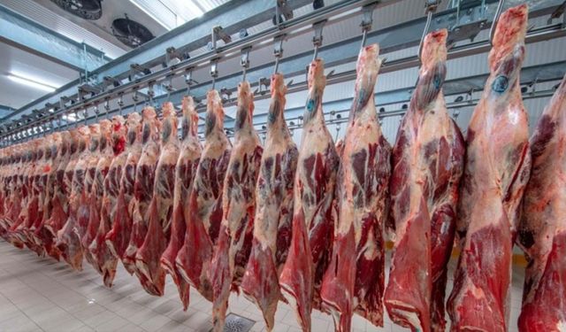 Tarım Kredi'nin Bosna macerası hazin bitti! Et ithalat şirketi hayvan fiyatları artınca tasfiye edildi!
