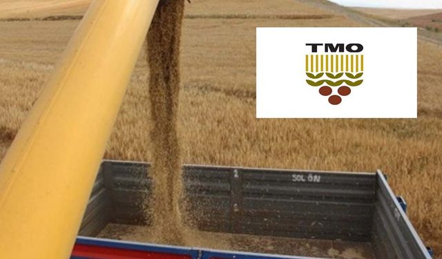 TMO 455 bin ton yemlik arpa ve mısır ithal edecek! İşte ihale detayları