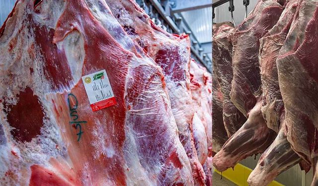 Kırmızı et fiyatlarında haftalık değişim: Kuzu eti yükselişte