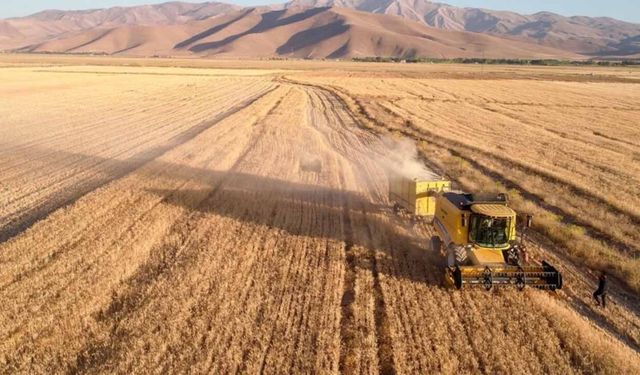 20 Nisan güncel hububat fiyatları: Ticaret borsalarında arpa şoku! Yeni hasat öncesi kritik veriler