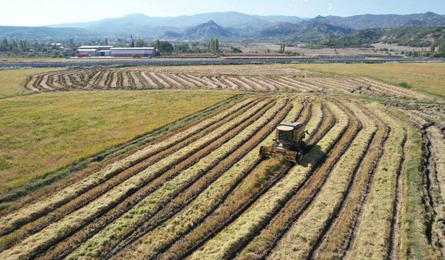Yatırımcılar dikkat: 2026 kırsal kalkınma destekleri için yol haritası açıklandı!