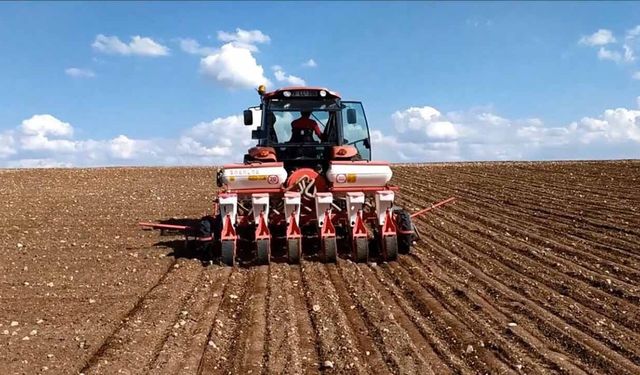 Pancar üreticisine "Taban Gübresi" uyarısı: Miktar değil, saf madde kazanır!