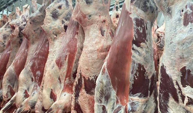 Et piyasasında "590-600 TL" çıkmazı: Kesim fiyatları 3 aydır yerinde sayıyor!