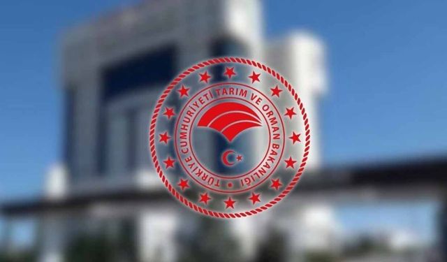 Kars’taki “yün yiyen hayvanlar” tartışmasına Bakanlıktan yanıt: “Yasak değil, mevsimsel takvim”