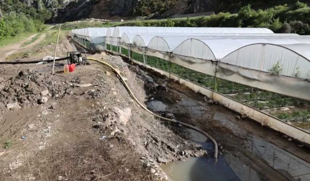 Yeşilırmak kabardı, Amasya’da seraları su bastı: Hasar tespit çalışmaları başladı