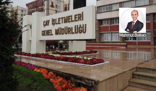 ÇAYKUR’dan Rizeli çay çiftçisine şok dava! "Hakkımızı isteyince mahkemeye verdiler"