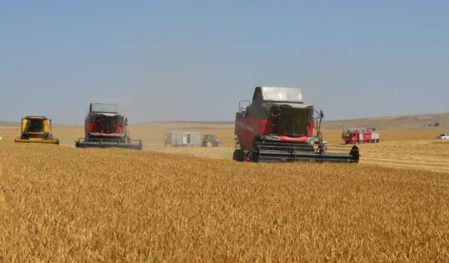 Eskişehir Ticaret Borsası'nda ay sonu raporu: Hasat öncesi buğday ve arpa fiyatları ne durumda?
