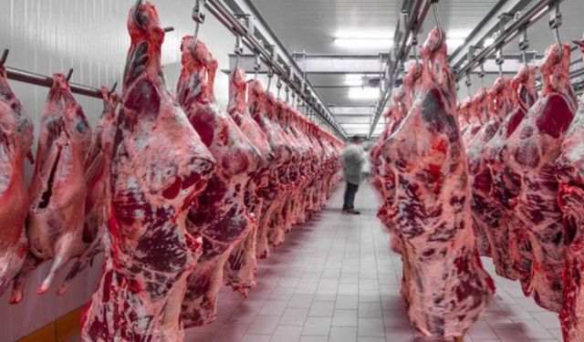 Sığır kesim fiyatları cephesinde Kurban öncesi son durum! Üretici ne diyor, piyasada fiyatlar ne durumda?