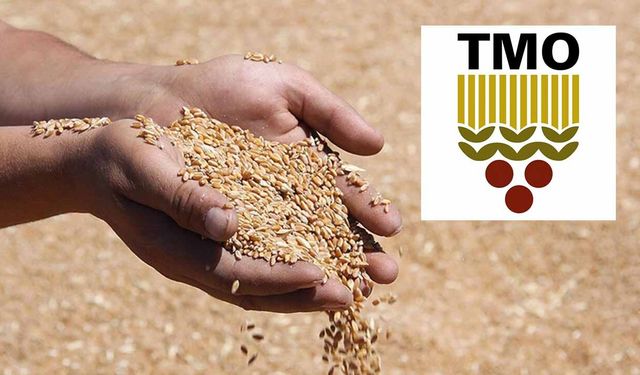 Arpa satışı durduruldu, buğdayda fiyat değişmedi! TMO'dan kritik Mayıs hamlesi