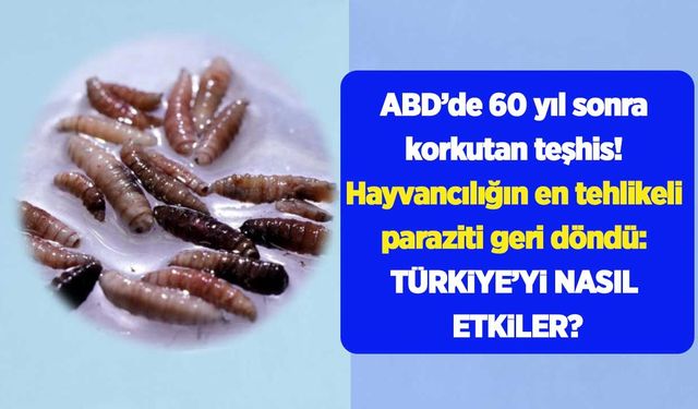 Dünyada Tarım
