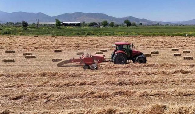 Konya Ticaret Borsası'nda arpa fiyatı geriledi! İşte 12 Haziran hububat piyasası