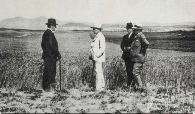 Tarım