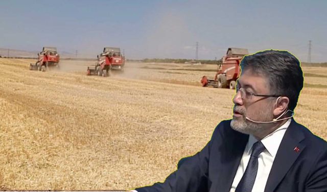 Tarımsal Destekler