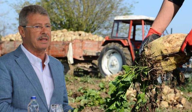 Şeker sektöründe tatlandırıcı alarmı: 850 bin tonluk haksız rekabet!