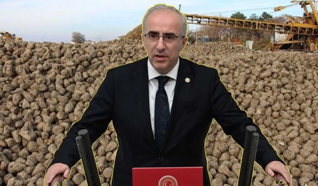 Mustafa Kaya: Kaçak pancarda büyük vurgunculara 2027'ye kadar koruma, dürüst çiftçiye jandarma denetimi