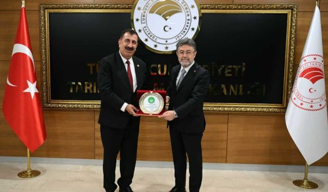 Hayvancılık