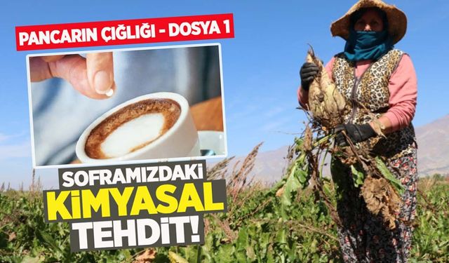 Pancarın çığlığı: Şekerin 'gizli' istilası ve sofralarımızdaki kimyasal tehdit