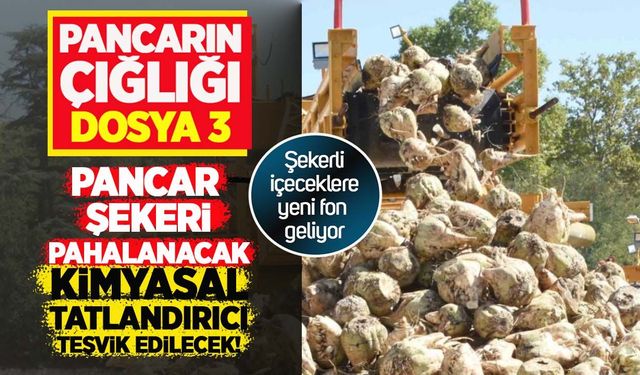 Pancarın Çığlığı: Şekerli içeceklere yeni fon geliyor! Pancar şekeri pahalanacak, tatlandırıcı teşvik edilecek!