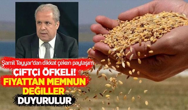 Şamil Tayyar paylaştı, çiftçi ayaklandı: TMO 2026 hububat alım fiyatlarına büyük tepki!