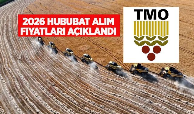 TMO 2026 yılı hububat alım fiyatlarını açıkladı! İşte buğday, arpa fiyatları ve Bakanlık destekleri