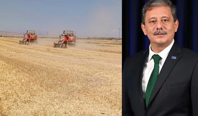 Anahtar Parti'den TMO'ya tepki: Buğdayda kazanan çiftçi değil, 13,5 liraya alan tüccar olacak