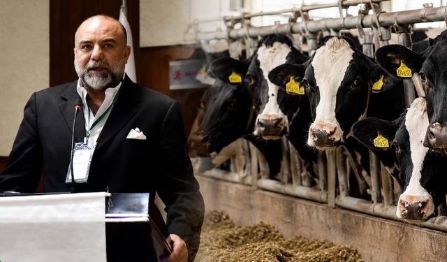 Kan örneği alınmadan mı arilik belgesi iptal edildi? TÜSEDAD'dan çarpıcı açıklama