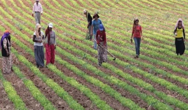 Taahhütnameyle ÇKS'ye kayıt yaptıran çiftçiler dikkat! Askı süreci başladı