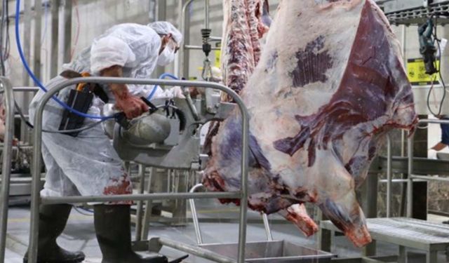 Besici şokta! Dana kesim fiyatı bu yıl ilk kez 570 lirayı gördü