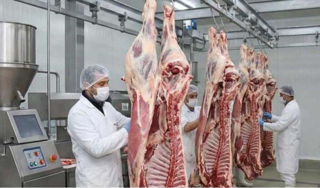 ESK'dan Tarım Bakanlığının talimatına aykırı kesim! Yağlı kesim talimatı yok sayıldı