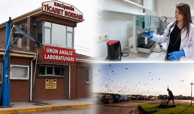 Eskişehirli çiftçinin ürünü laboratuvarda değer kazanıyor! Bir yılda 365 bin analiz yapıldı