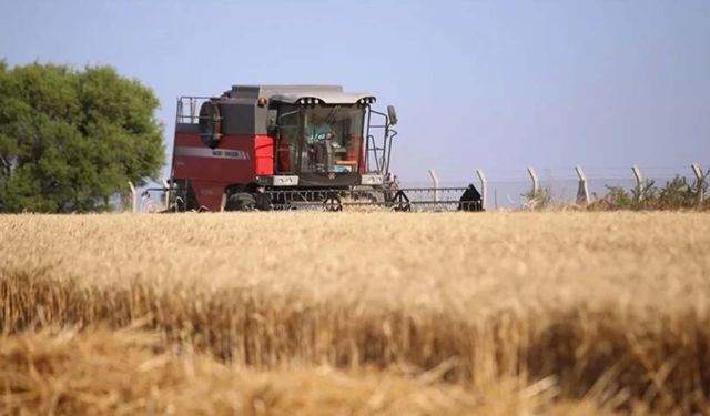 Lüleburgaz’da çiftçi çaresiz: "Depolar Dolu" denilerek buğday düşük fiyattan alınıyor