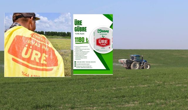 Tarım Kredi'nin yapamadığını Bucak Ziraat Odası yaptı! Üre gübresinde 315 TL fark