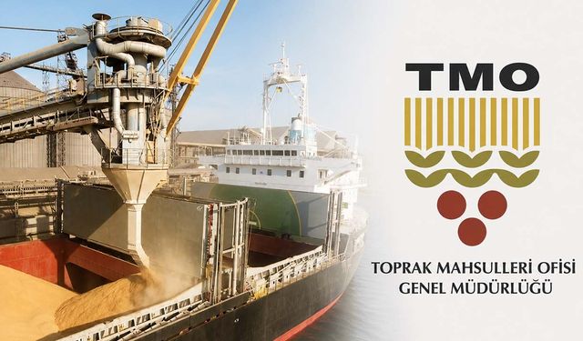 TMO'dan önemli karar! Ekmeklik buğday ihracatı yeniden serbest bırakıldı