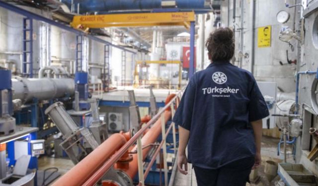 Türkşeker'in şeker satışında dikkat çeken kurgu: Sistem iki firmaya çalışıyor!