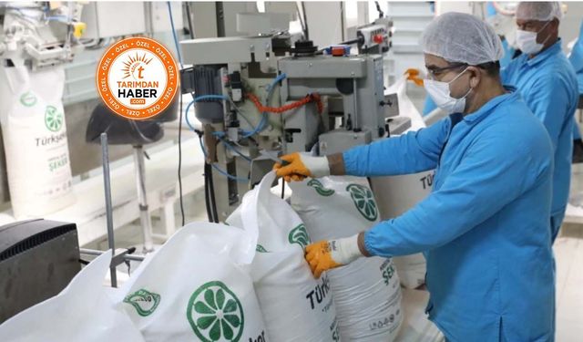 Türkşeker'den şeker almak neden daha pahalı hale geldi? İşte küçük toptancıyı oyunun dışına iten fiyat sistemi