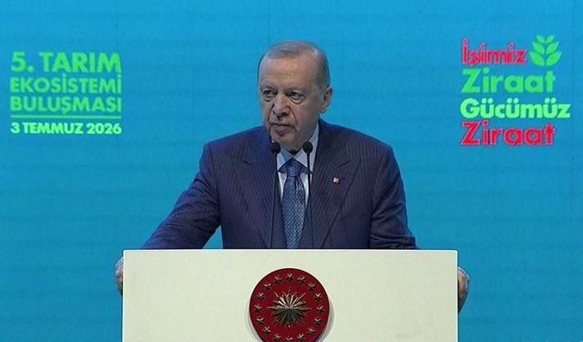 Hayvancılık