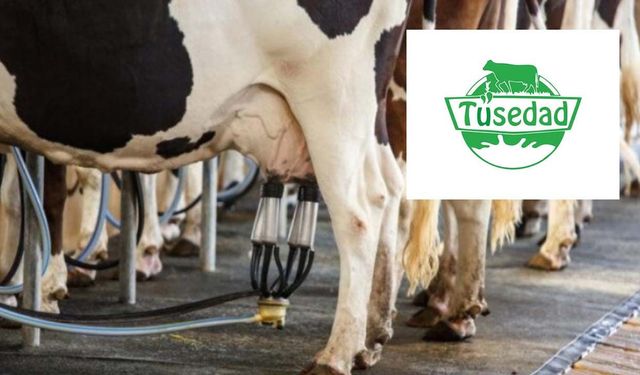 Ağustos geldi çiğ süt desteği açıklanmadı! Üretici Ocak-Mart ödemesini bekliyor