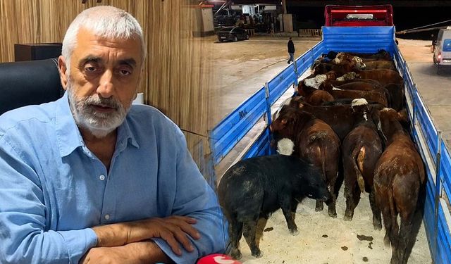 Besiciden ESK'ye dikkat çeken çağrı: İthal hayvanın kilosu 350 TL'ye çekilsin
