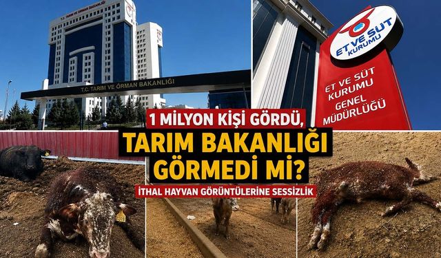 1 milyon kişi gördü, Tarım Bakanlığı görmedi mi? İthal hayvan görüntülerine sessizlik