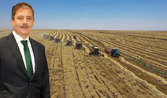 Anahtar Parti'den hububatta yeni model önerisi! "İthalat yerine yerli üretim desteklensin"