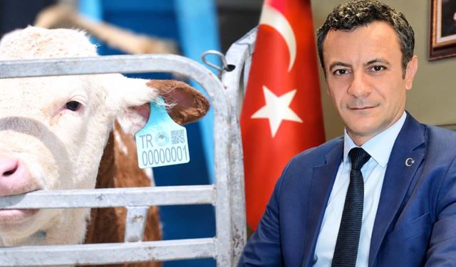 Hayvancılık
