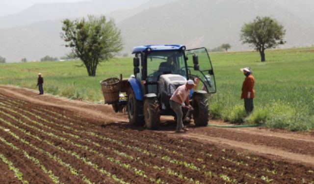 Tarımda 92 milyar dolarlık çelişki! Dünya 6’ncısı Türkiye’de çiftçi neden kazanamıyor?
