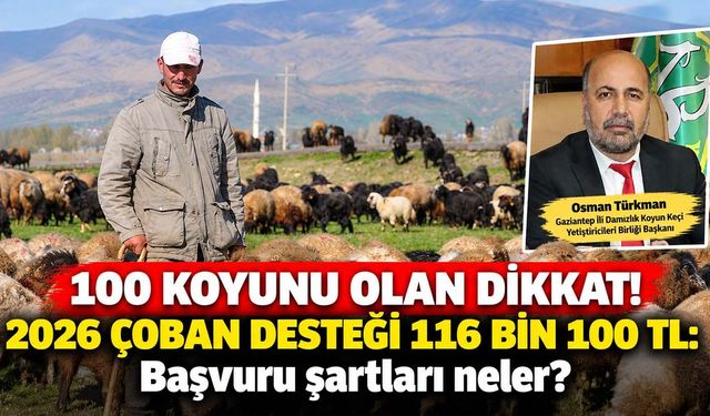 Tarımsal Destekler